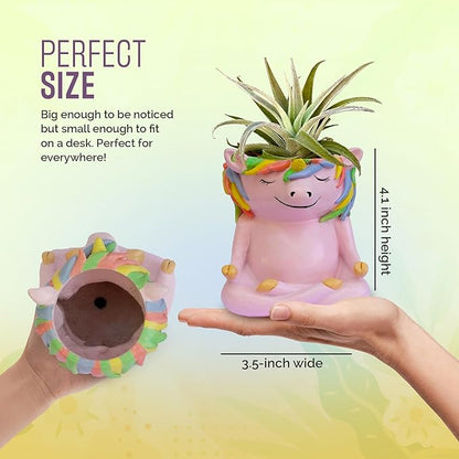 GFF Grass Flip Flops Meditating Animals Unicorn Planter - 4.1H x 3.5W x 3D Inch Plant Pot for Succulents Flower Herb Houseplant Live Plants Stand Garden Home Office Kitchen Decor