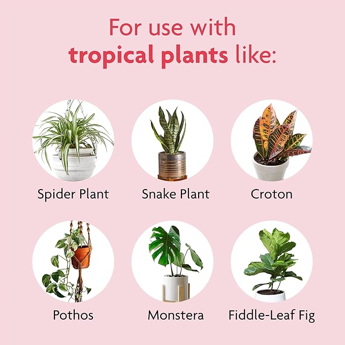 Miracle-Gro Tropical Potting Mix, For Container Plants, Use with Snake Plants, Spider Plants, Pothos, Monstera, 6 qt., 3-Pack