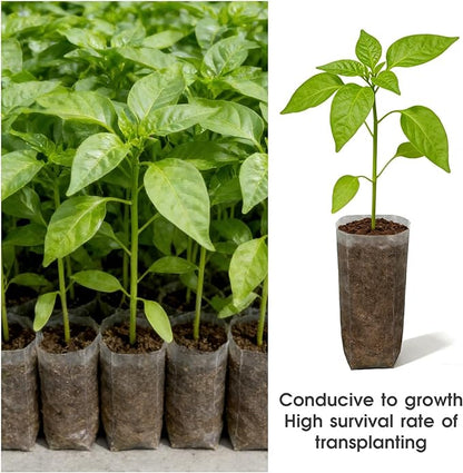 Augshy JULMELON 100 Pcs Nursery Growing Bags, 7.5x11.6 inch Breathable Non-Woven Plants Grow Fabric Plant Grow Bags for Vegetable Seed Starter Home or Outdoor Garden Supply