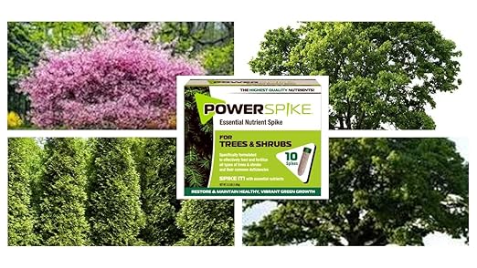 for Trees & Shrubs, Sprint & Fall ferilizer Spike. Formulated to Feed and fertilize All Types of evergreens, Trees & shubs. Packed with Essential nutrients (30)