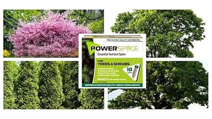 for Evergreens, Trees & Shrubs, ferilizer Spike. Essential Nutrient Spike formulated to Feed and fertilize All Types of evergreens, Trees & shubs. Packed with Essential nutrients., 93309
