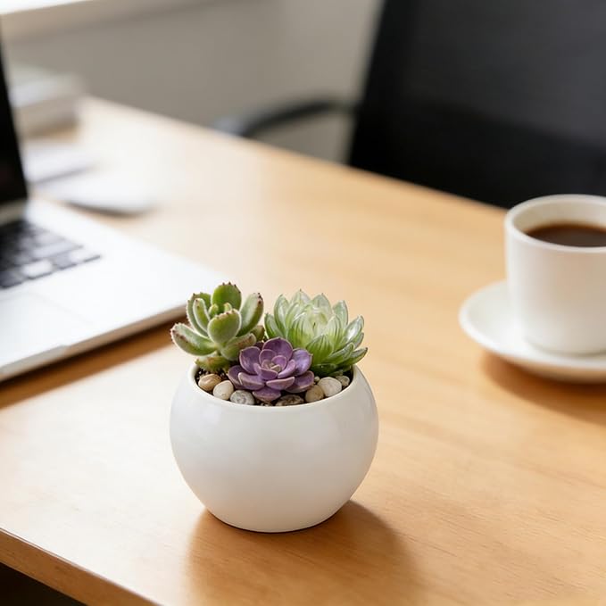 White Spherical Ceramic Planter Succulent Small Plant Pots Indoor Modern Round Decorative Indoor-Outdoor Garden Plant Pots with Drainage Holes - Plants Not Included 3.94 x 3.94 x 3.15 Inch