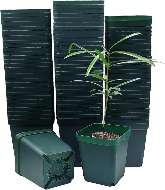 Square Seedling Nursery Pots 3.15 Inches 100 Pcs for Small Succulents or Cacti Flower Plastic Pots Sturdy Reusable (Green, 3.14Inches,100Pcs)