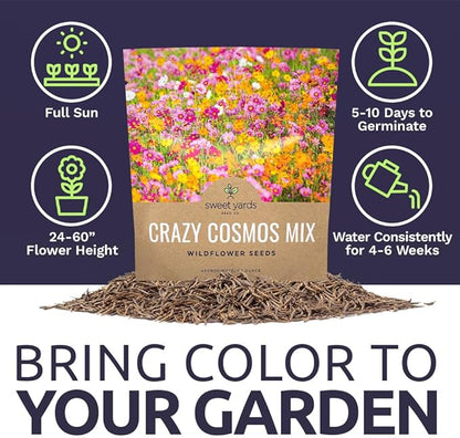 Cosmos Seeds Wildflower Mixture - Bulk 1 Ounce Packet - Over 5,000 Seeds - Pink, Yellow, Orange, Red, Purple and White Mixed Species!