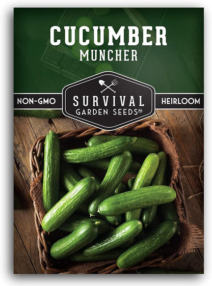 Muncher Cucumber Seeds for Planting | Burpless Variety with Smooth Skin for Snacking or Slicing – Survival Garden Seeds (1 Pack)