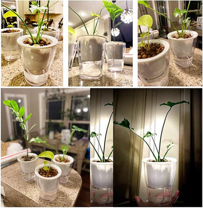 5-Pack 5.1 Inches Clear Self-Watering Planters African Violet Pots Plastic Wicking Flower Pots for Indoor Plants, Herbs, African Violet, Ocean Spider Plant, Orchid Garden Pot
