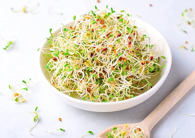 Food to Live Alfalfa Seeds for Sprouting, 8 Ounces – Edible Seeds, Pure, Vegan, Kosher, Bulk. Rich in Vitamin K & C. High Germitation Rate. Grow Sprouts, and Microgreens for Salad, Sandwiches, Rolls.