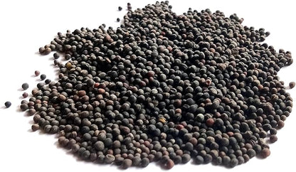Kale Seeds for Planting - Plant & Grow Heirloom Kale Varieties Home Outdoor Garden – Easy Grow Planting Packet Instructions Included, Great Gardening Gift – 5 Packets of Each Variety