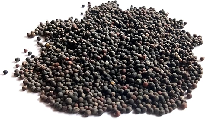 Dwarf Siberian Kale Seeds for Planting – Plant & Grow Heirloom Non-GMO Dwarf Siberian Kale in Home Outdoor Vegetable Garden, Brassica Napus – 5 Packets