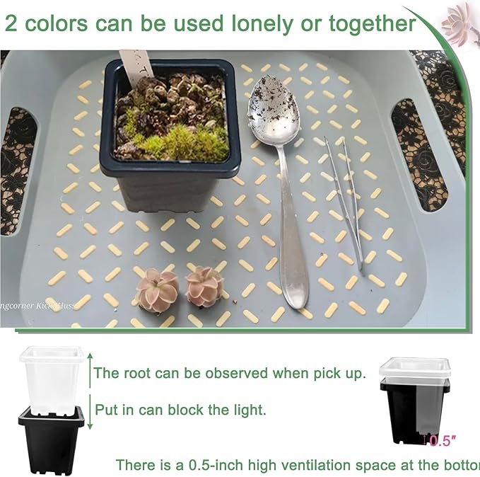 2 Inch Square Plant Nursery Pots (Black+Clear),50Pcs Seedling Planter Seed Starter Pots,Sturdy Small Plastic Pots with Drainage Holes