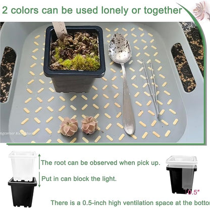 2 Inch Square Plant Nursery Pots (Black+Clear),50Pcs Seedling Planter Seed Starter Pots,Sturdy Small Plastic Pots with Drainage Holes