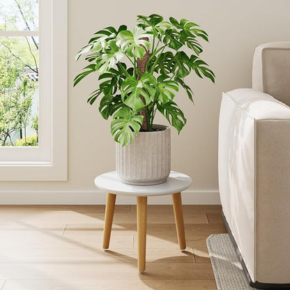 Leaf&lull Plant Table Small Plant Stand Indoor for Large Plants Wood Plant Stool Tall Plant Holder for Living Room Bedroom Balcony White