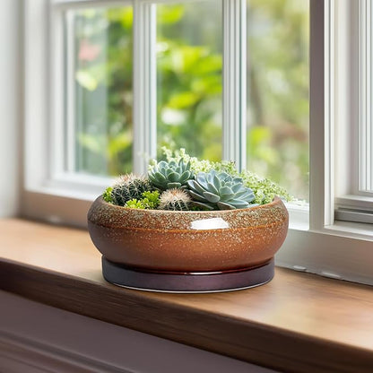 Bonsai Tree Pots - 8 Inch Ceramic Succulent Planter Indoor Outdoor, Bonsai Pots with Drainage Hole and Saucer, Shallow Plant Pots, Round Planters, Kitchen Decor, Gifts for Women, Retro Brown