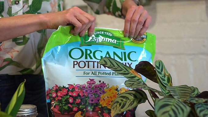 Espoma Potting Mix, Natural & Organic, for Indoor & Outdoor Potted Plants, 8 qt, Pack of 6