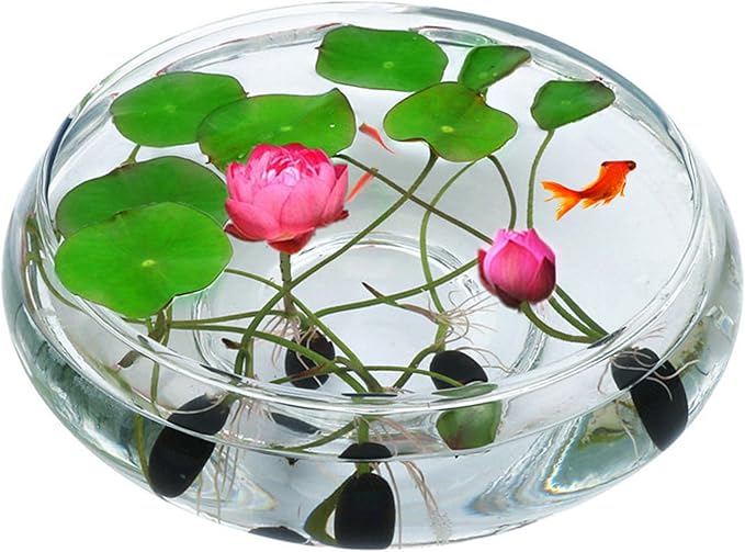 Lotus Bowl Planter Glass Lotus Bowls for Planting in Water Indoors Bonsai Pots No Drainage Hole Hydroponic Aquatic Plants Terrarium Fish Bowl Medium