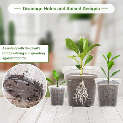 GREANER Clear Pots for Plants, 6/8/10 Inch Orchid Pots with Holes and 20 Pcs Plant Labels for Indoor Outdoor Planters(12 Packs)