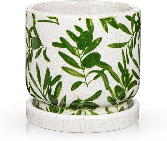 Small Ceramic Pot for Indoor Plants - 5.5 inch Plant Pot with Drainage Hole and Saucer Olive Leaf Decorative Planter Indoor Outdoor Flower Pots for Succulent Snake Pothos Plant Windowsill Home Garden