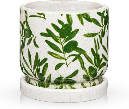 Small Ceramic Pot for Indoor Plants - 5.5 inch Plant Pot with Drainage Hole and Saucer Olive Leaf Decorative Planter Indoor Outdoor Flower Pots for Succulent Snake Pothos Plant Windowsill Home Garden