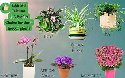 U.S.A. Eggshell Fertilizer Powder, 4 Ounce, for Tomato Plants, Orchids, Calcium Magnesium Phosphorus Powder for Indoor and Outdoor Flowers and Plants