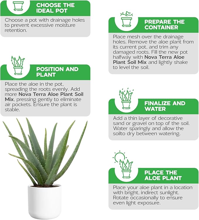 Potting Soil for Aloe Vera Plants Indoor Aloe Vera Plant Cactus Soil Potting Mix Aloe Vera Potting Mix Indoor Potted Aloe Plants Live Succulents Cactus Live Plants 2.4 Qts