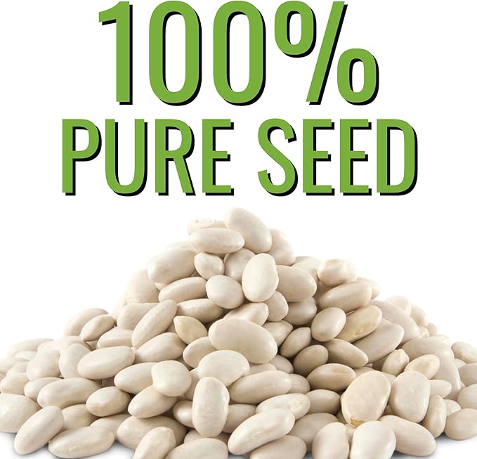 Seed Needs Lima Bean Seeds for Planting Henderson Lima Beans - Non-GMO Heirloom & Untreated Vegetable Seed to Plant a Homesteader Outdoor Veggie Garden