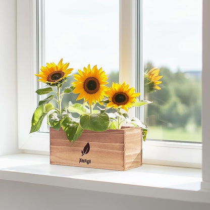 AVERGO Sunflower Seeds Growing Kit – Complete Seed and Plant Indoor & Outdoor Kit with Sunflower Seeds for Planting, Planter, Soil, Tools, Instructions – Ideal for Planting Sun Flowers at Home