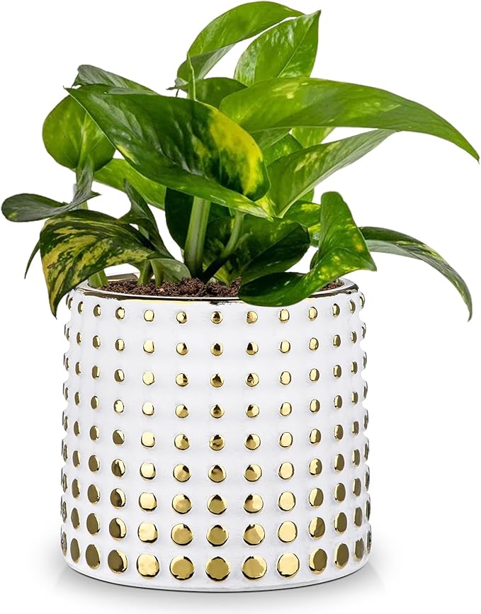 Ceramic Plant Pots Indoor, 5.7 Inch Planters for Indoor Plants Gold Polka Dots Flower Pots with Drainage Hole, Cylinder Round Planters, Gold and White