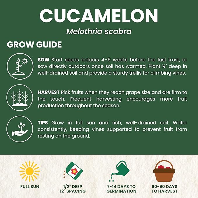 Cucamelon – 65 Premium Seeds for Planting – Mini Watermelon-Like Fruits for The 2026 Season – 200-Milligram Pouch