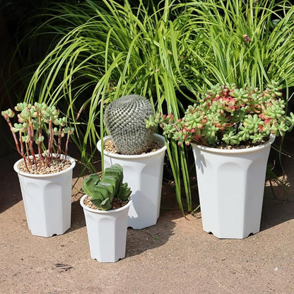 BangQiao 14 Pack 4.40 Inch White Plastic Deep Nursery and Seedling Pots, Round Planter Container for Transplanting, Cutting, Succulent