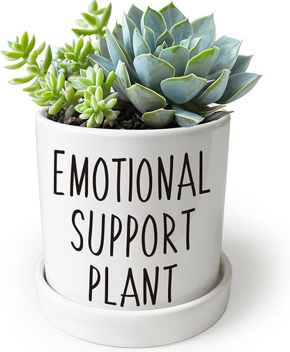 4.3 inch Ceramic Emotional Support Plant Pot, Funny Succulent Pots, Cute Cactus Planters with Drainage Hole, Funny Plant Pot Emotional Support Cactus