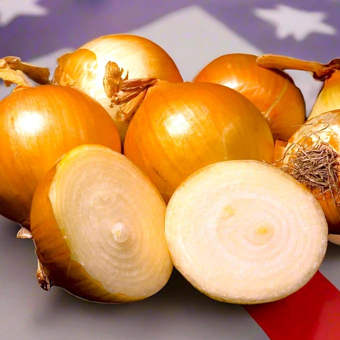 TomorrowSeeds - Texas 1015Y SuperSweet Onion Seeds - 1200+ Count - for 2026 Planting Official Texas State Vegetable Granex Sweet Candy Short Day Garden Heirloom Onions Grow Your Own Home Farm Patio