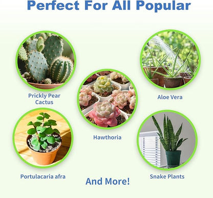 Succulent and Cactus Soil Potting Mix 4qt-Premium Breathable & Fast Draining for Healthy Plants