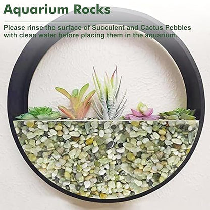 6.6 lbs Succulent and Cactus Bonsai Pebbles, 6-9mm Decorative Landscaping Polished Stones Natural Garden Gravel Rocks for Indoor Outdoor Plants Aquariums DIY, and Gardening Top Dressing, Jade Green