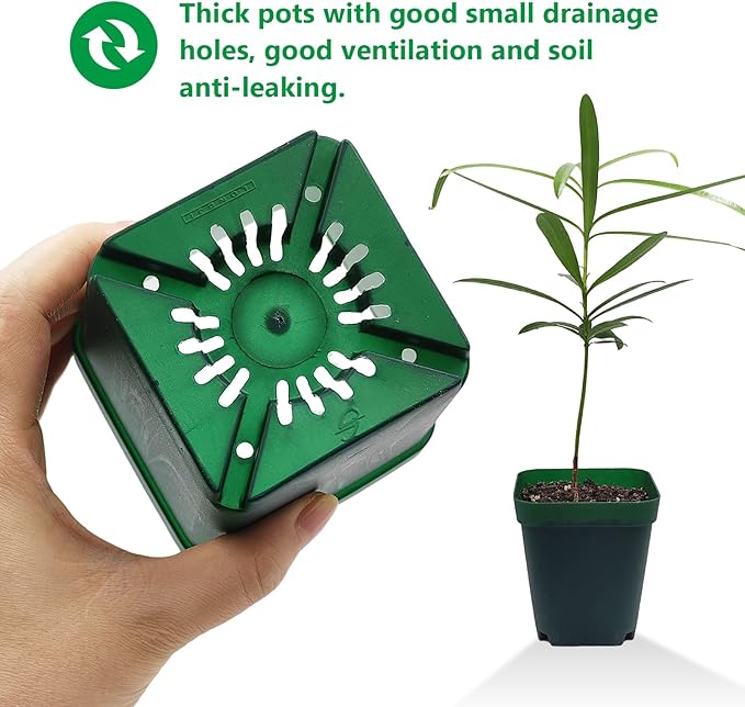Square Seedling Nursery Pots 3.15 Inches 100 Pcs for Small Succulents or Cacti Flower Plastic Pots Sturdy Reusable (Green, 3.14Inches,100Pcs)