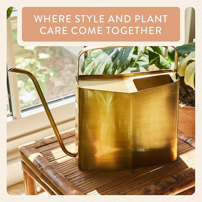 Modern Sprout Brass Finish Plant Watering Can - 3L Capacity - Long Spout Stainless Steel Vessel for Outdoor & Indoor Plants - Rust Resistant - Garden Accessory for Houseplants & Decorative Use