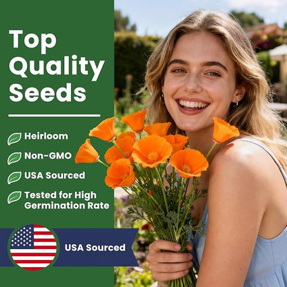 Orange California Poppy Seeds for Planting - Bulk 0.35 Ounce Packet - Over 10,000 Native Seeds - California State Flower