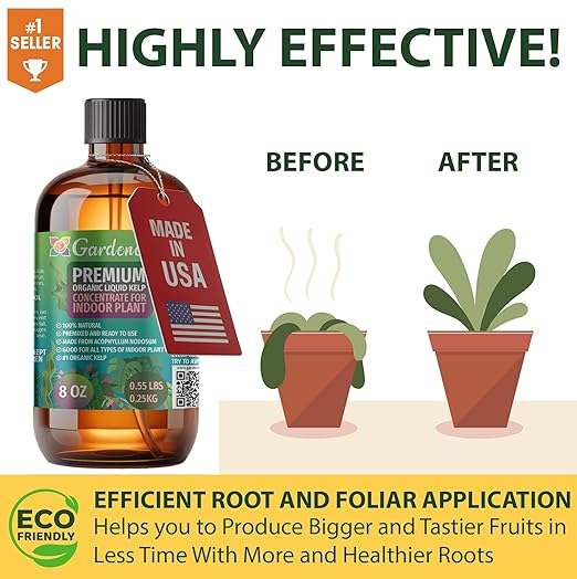 GARDENERA Premium Organic Seaweed & Kelp Superfood for POTHOS Plants - 8 oz - Liquid Kelp Fertilizer Concentrate (Makes 45 Gallons)