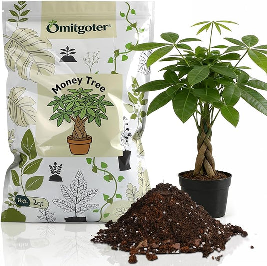 All-Natural Money Tree Soil & Indoor Potting Mix 4QT - Drainage-Enhanced Plant Soil for Healthy Indoor Plants