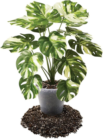 Gardenera Premium Aroid Potting Mix - 10 Quart - Soil Free Blend for Aroids - Growing Medium for House Plant (2 Bags of 5 Quart)