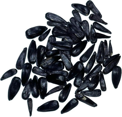 Seed Needs Sunflower Seeds for Planting Cherry Rose Sunflowers - Hybrid Flowers with Unique Bi-Colors for an Outdoors Flower Garden - Great for Cut Flowers in Bouquets & Floral Arrangements (5 Packs)