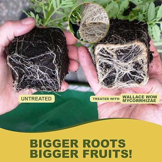 Wallace Organic Wonder Mycorrhizal Inoculant (50 lbs) - Mycorrhizal Fungi - Super Concentrated - Fresh Mycorrhizae for Plants, Garden Soil, & Potting Soil - Organic Root Stimulator for Plant Growth