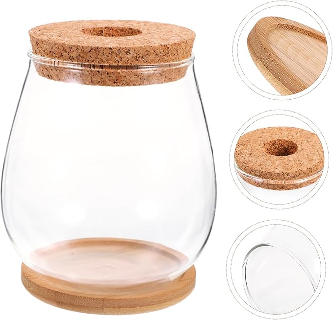 Milisten 1 Set Hydroponic Glass Vase DIY Cork Bottle Micro Landscape Bottle Coral Jar Aquarium Glass Terrarium Cork Planter Terrarium Dill