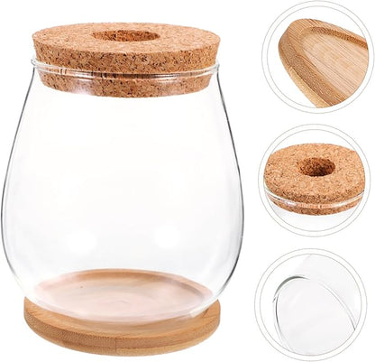 Milisten 1 Set Hydroponic Glass Vase DIY Cork Bottle Micro Landscape Bottle Coral Jar Aquarium Glass Terrarium Cork Planter Terrarium Dill