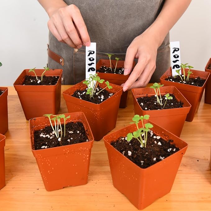 June Fox 100 Pack Red Square Nursery Pots with Drainage Holes 3.3 Inches Flexible Plastic Seedling Pots Square Pots for Plants, Succulent, Flower, with Plant Labels