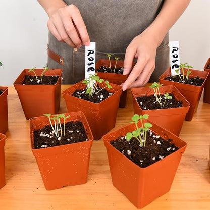June Fox 100 Pack Red Square Nursery Pots with Drainage Holes 3.3 Inches Flexible Plastic Seedling Pots Square Pots for Plants, Succulent, Flower, with Plant Labels