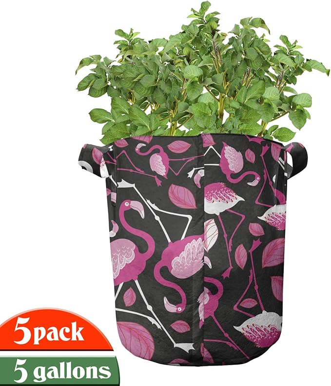 Ambesonne Plant Grow Bags 5-Pack, Cactus Buds Types Pattern, Heavyduty Fabric Pots with Handles for Plants, Green Blue