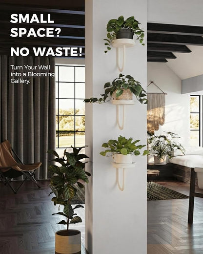 Bamworld Wall Plant Holder Wall Planters for Indoor Plants Plant Hanger Indoor Window Plant Shelves Hanging Plant Holder Window Plant Hanger Plant Decor White 3pcs