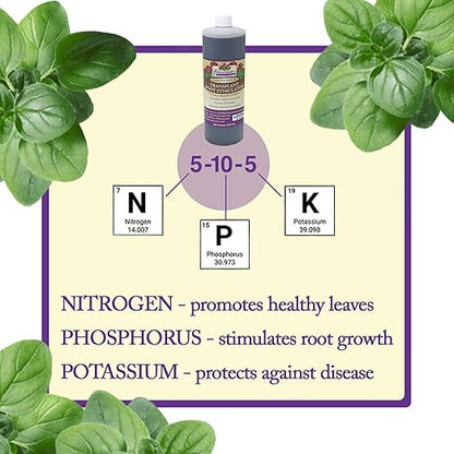 Esbenshade’s Transplant Root Stimulator 5-10-5 Fertilizer, 32oz - Liquid Fertilizer with Seaweed, Fish & Humic Acid - Reduces Transplant Shock, Promotes Root Growth - for Flowers, Vegetables & Shrubs