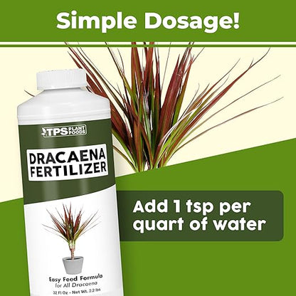 Dracaena Fertilizer - Liquid Plant Food for All Dracaena Plants and Trees, 32 oz