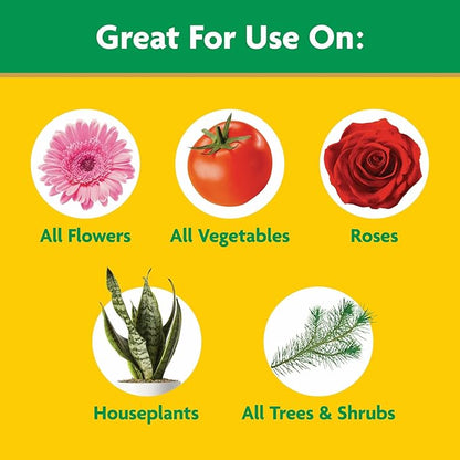 Miracle-Gro Water Soluble All Purpose Plant Food,Plant Fertilizer for Indoor or Outdoor Plants,Roses,Flowers,Houseplants,Vegetables and Trees,10 lb.,(Pack of 4)